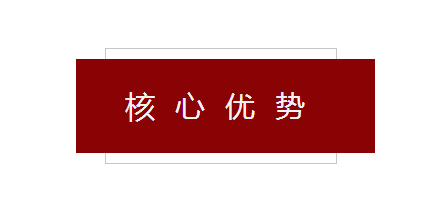 公司实力